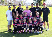 Pink Panthers