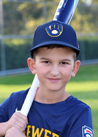 Brewers