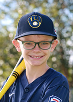 Brewers