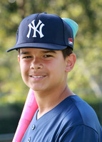 Yankees