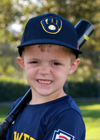 Brewers