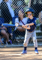 Yankees