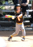Paders