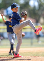 Brewers