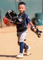 Yankees